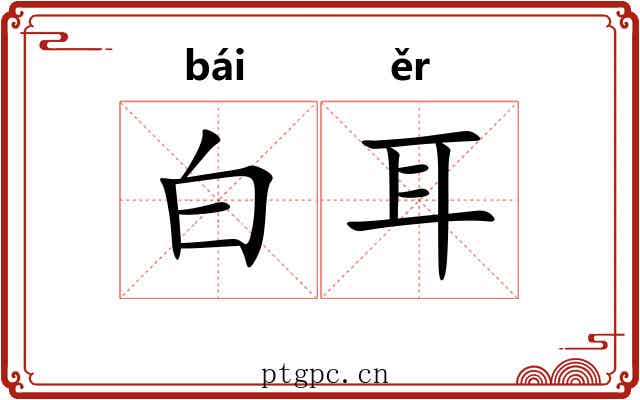 白耳 白耳