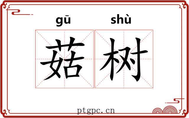 菇树