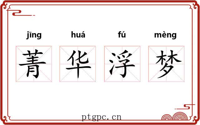 菁华浮梦