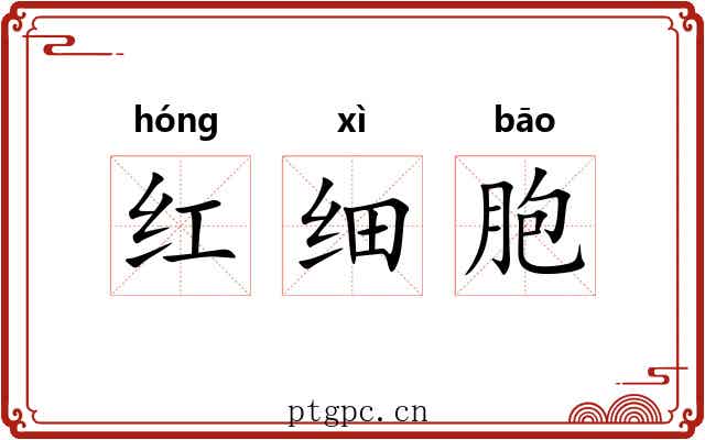 红细胞 红细胞