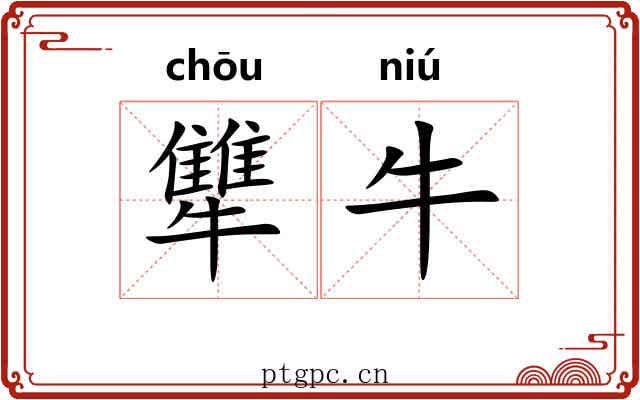 犨牛