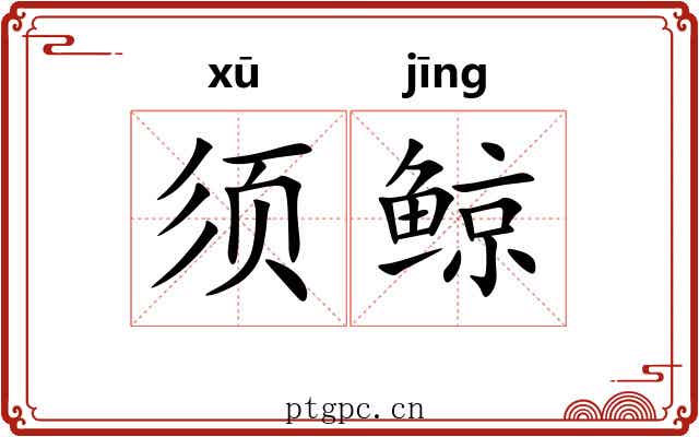 须鲸
