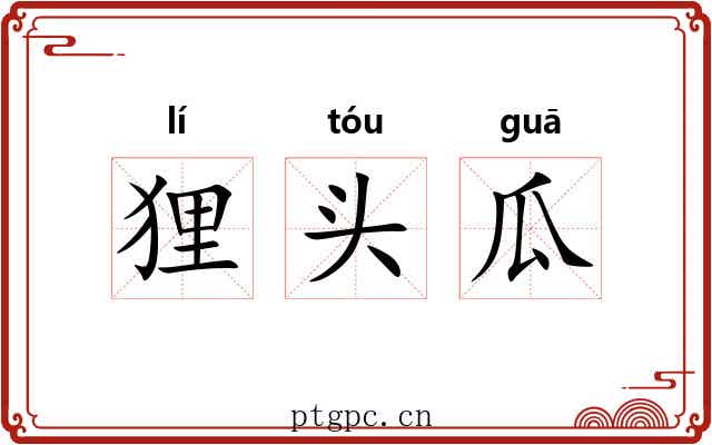 狸头瓜 狸头瓜