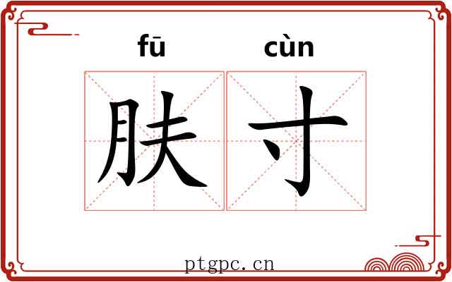肤寸