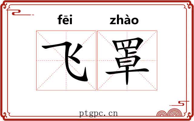 飞罩