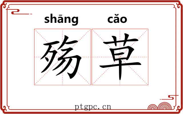 殇草 殇草