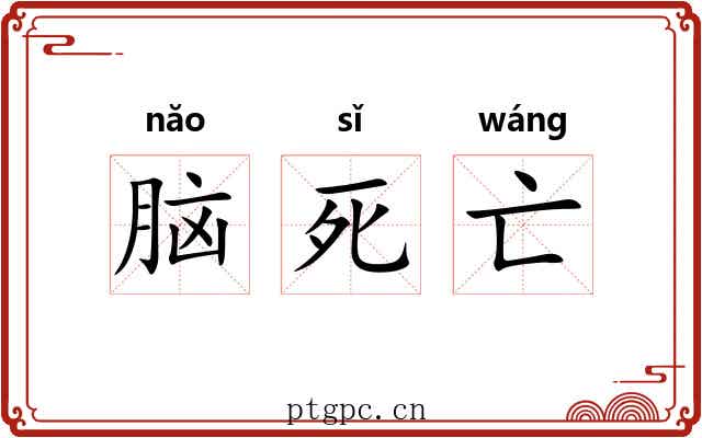 脑死亡 脑死亡