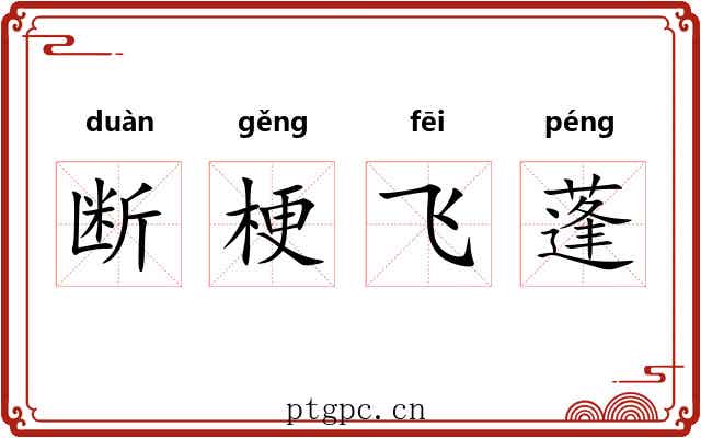 断梗飞蓬 断梗飞蓬