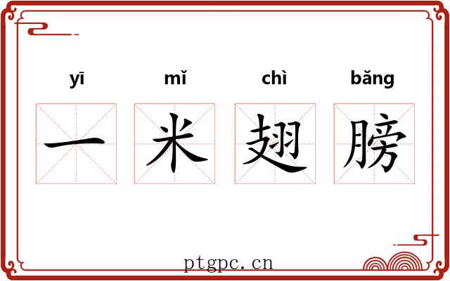 一米翅膀 一米翅膀