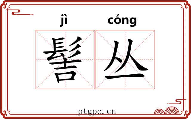 髻丛