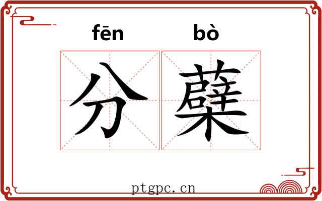 分蘗 分蘗