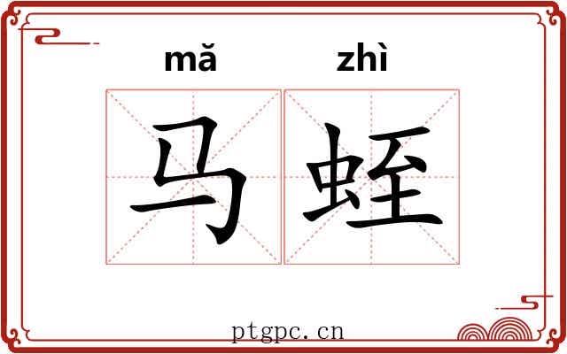马蛭