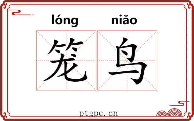 笼鸟