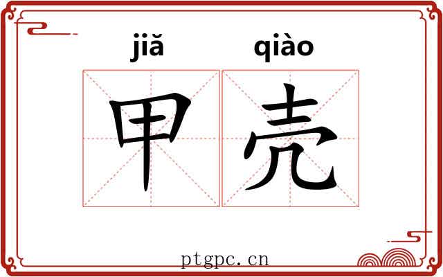 甲壳 甲壳