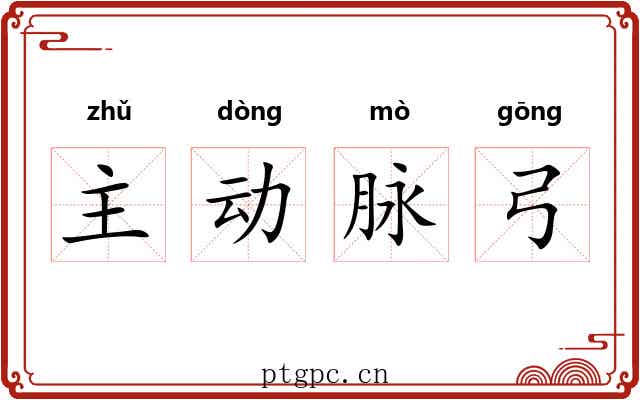 主动脉弓 主动脉弓