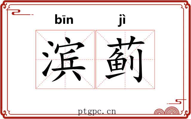 滨蓟