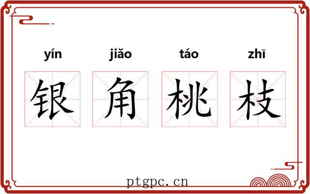 银角桃枝 银角桃枝