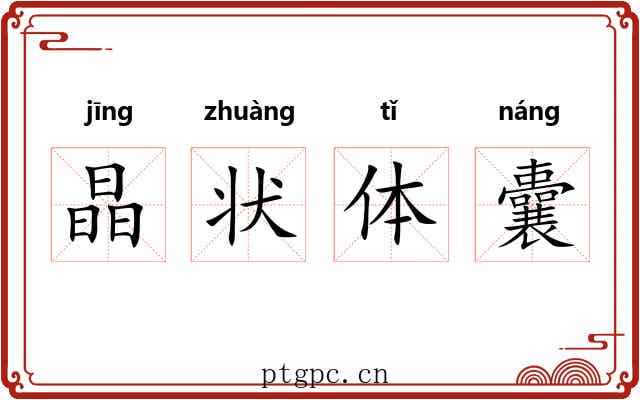 晶状体囊 晶状体囊