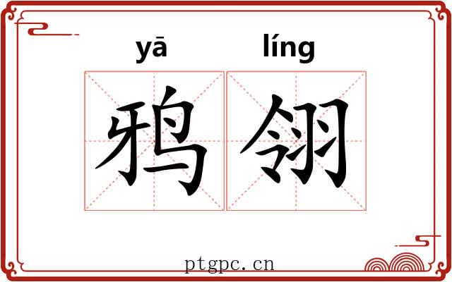 鸦翎