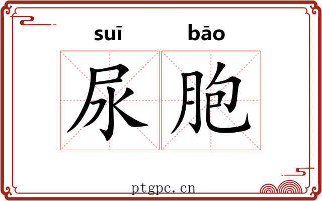 尿胞