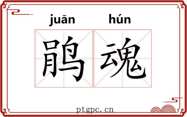 鹃魂