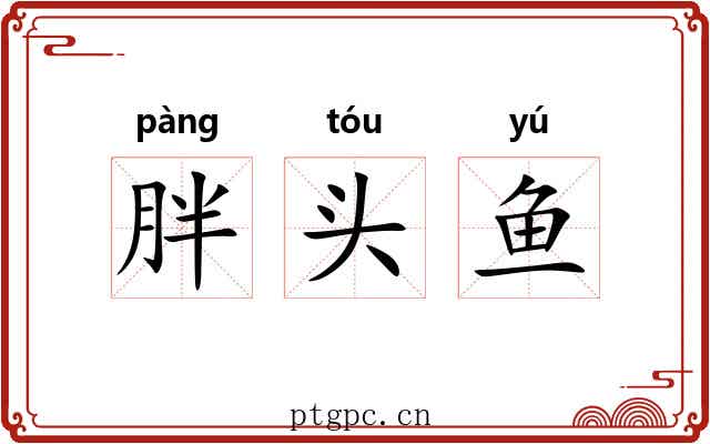 胖头鱼 胖头鱼