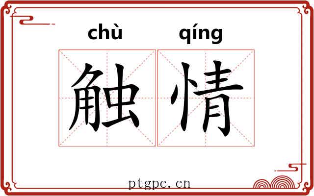 触情 触情
