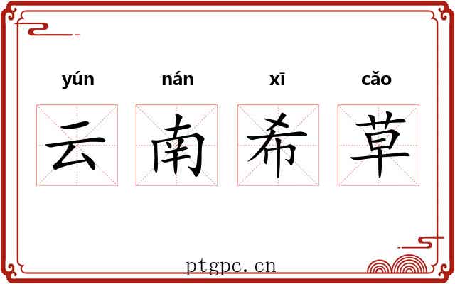 云南希草 云南希草