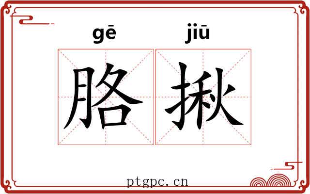 胳揪