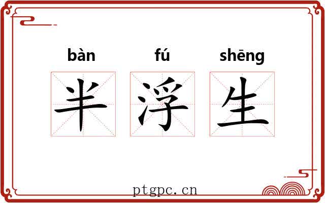 半浮生 半浮生