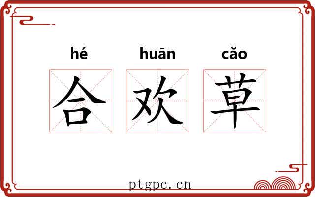 合欢草 合欢草