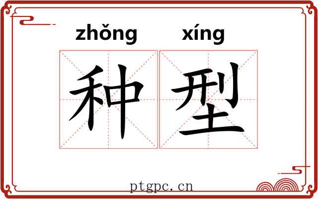 种型