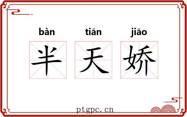 半天娇 半天娇