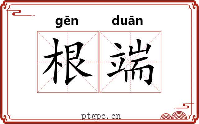 根端 根端