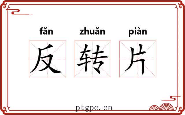 反转片 反转片