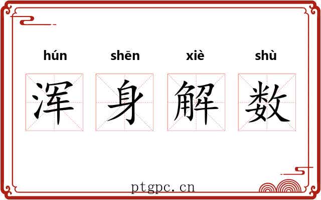 浑身解数 浑身解数