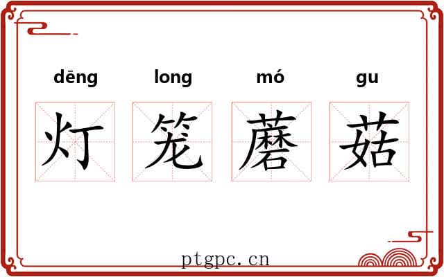 灯笼蘑菇