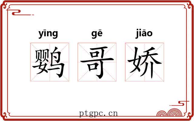 鹦哥娇