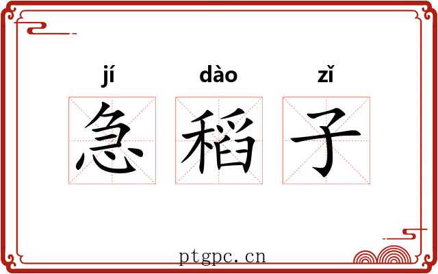 急稻子 急稻子