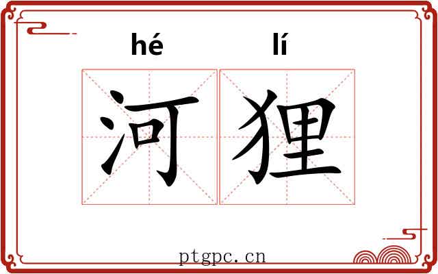 河狸