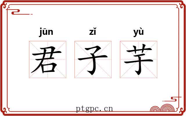 君子芋 君子芋