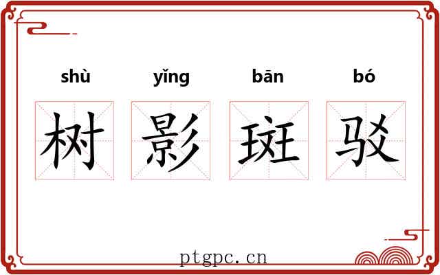 树影斑驳