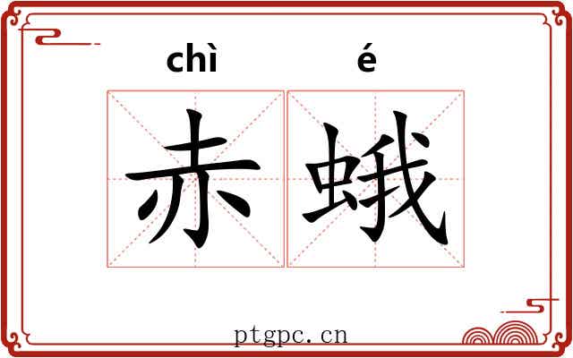 赤蛾
