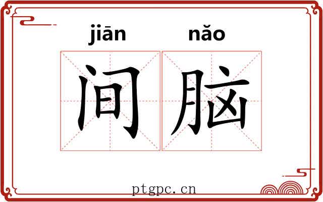 间脑 间脑