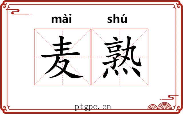 麦熟 麦熟