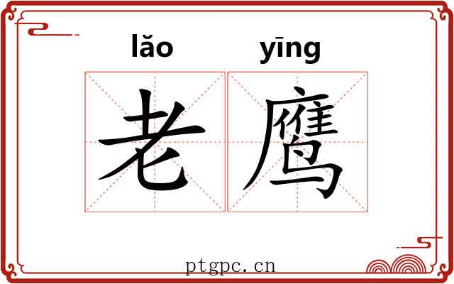 老鹰 老鹰