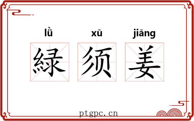 緑须姜