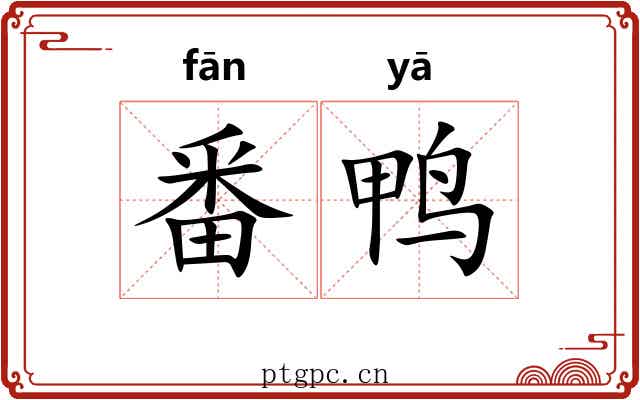番鸭