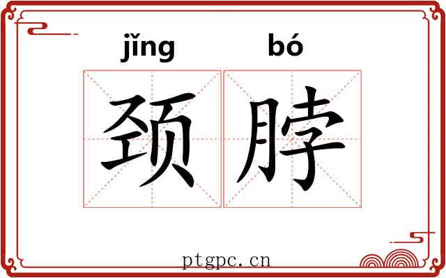 颈脖