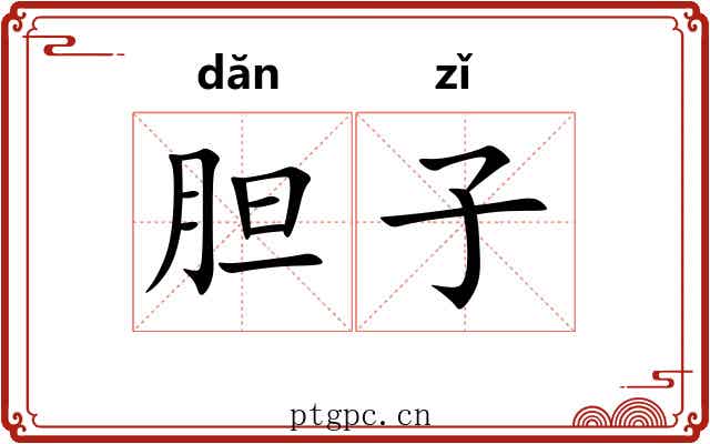 胆子 胆子